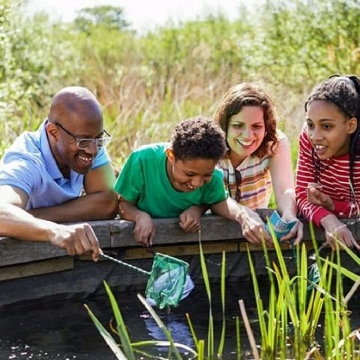 Family pond dipping